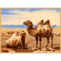 Монгольский ковер Hunnu 6S0873_082 Коричневый